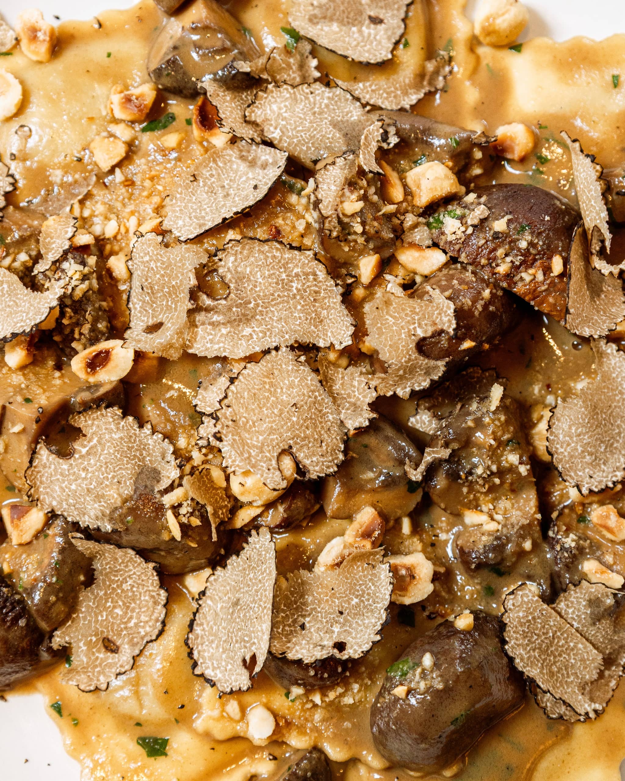 Handmade pasta with creamy mushroom sauce, topped with fresh truffle shavings and toasted hazelnuts at Mortimer House Kitchen.
